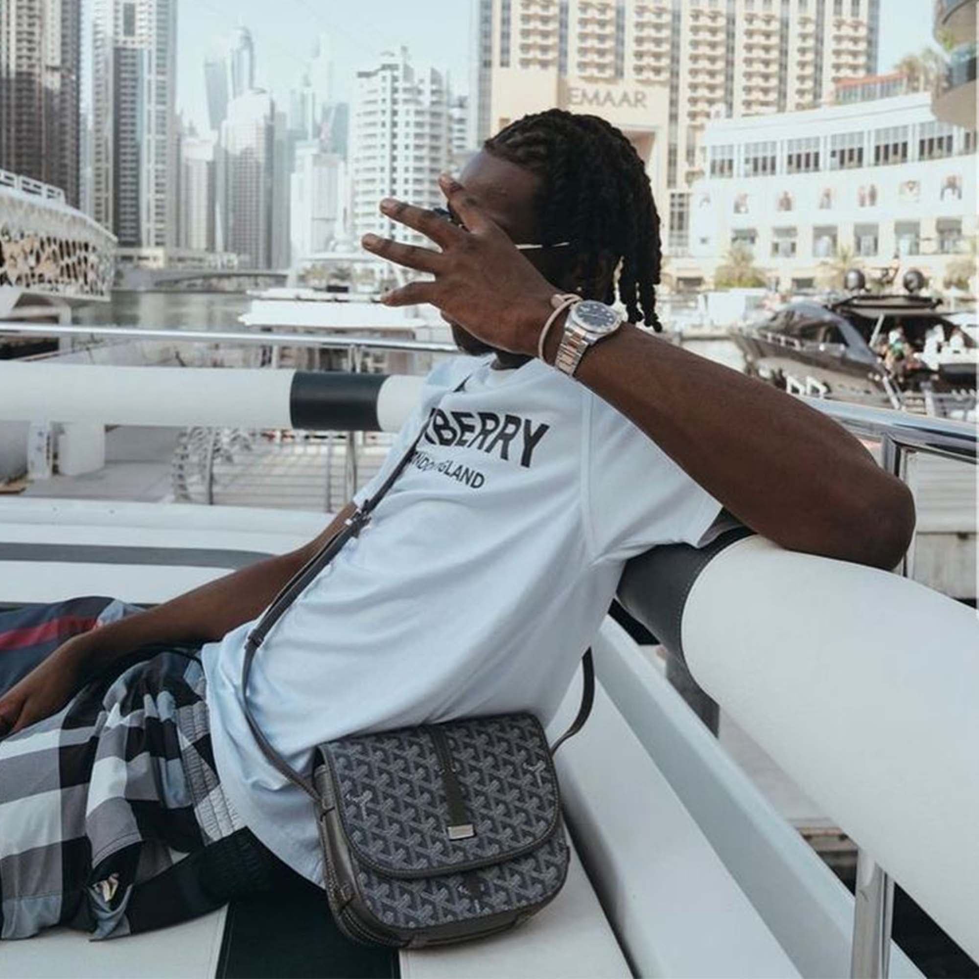 Goyard Bag Grey