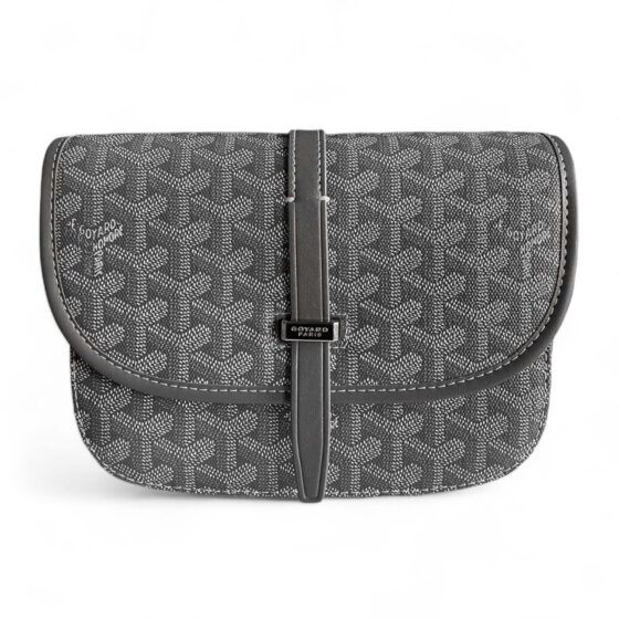 Grey Goyard bag from Central ae, featuring a classic design and signature pattern, displayed on a neutral background.