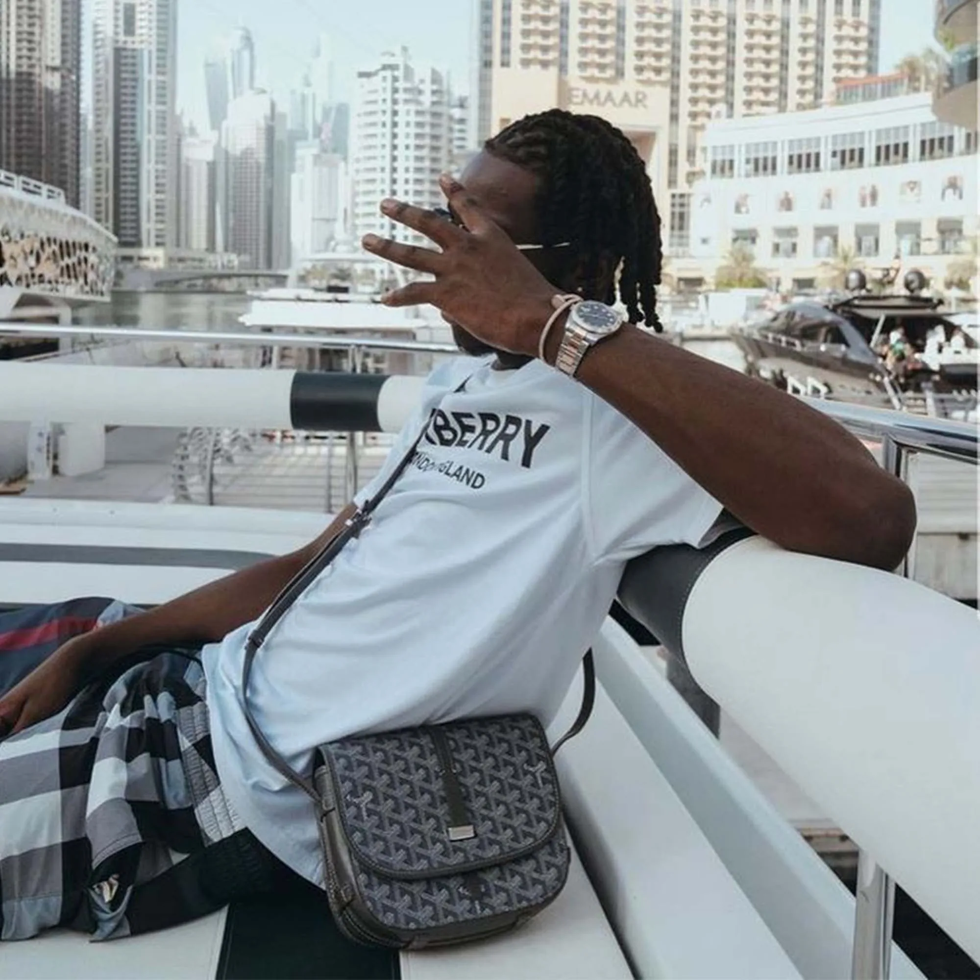 Goyard Bag Grey