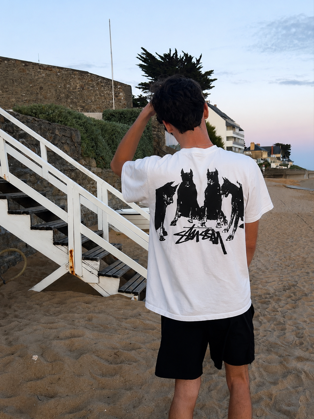 Stussy Four Dogs T-Shirt - White
