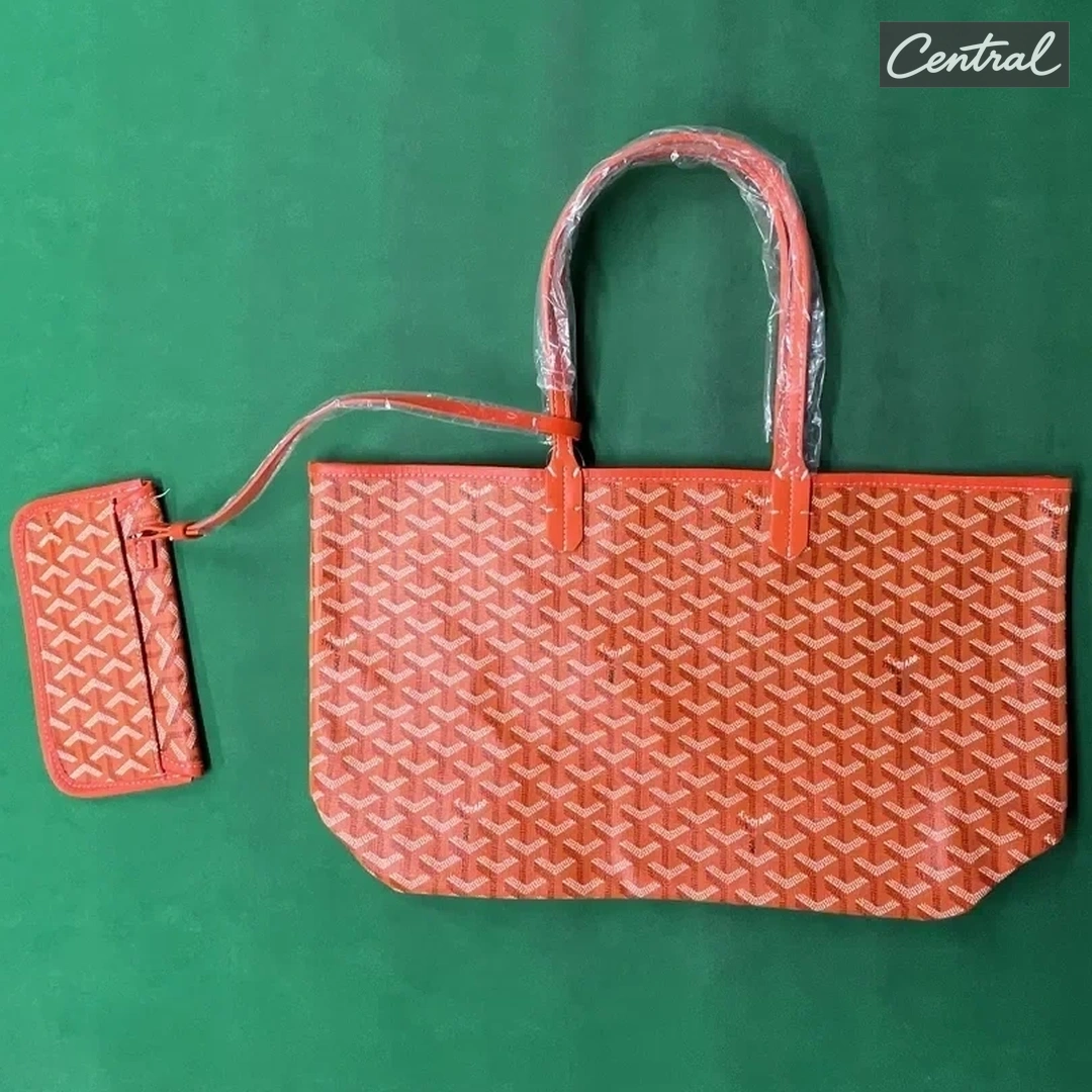 Goyard Saint Louis PM Bag - Orange