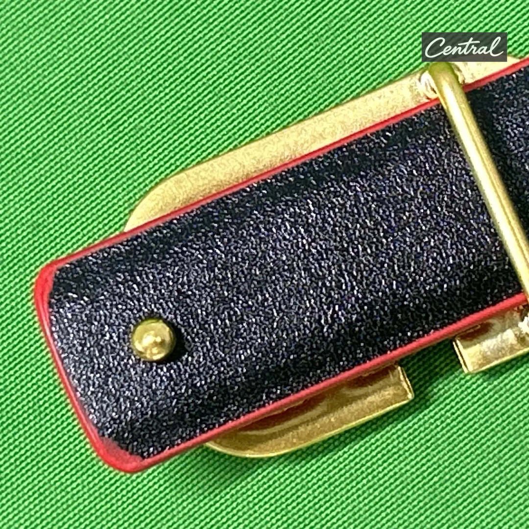 Valentino Garavani VLogo Signature Belt - Red Gold