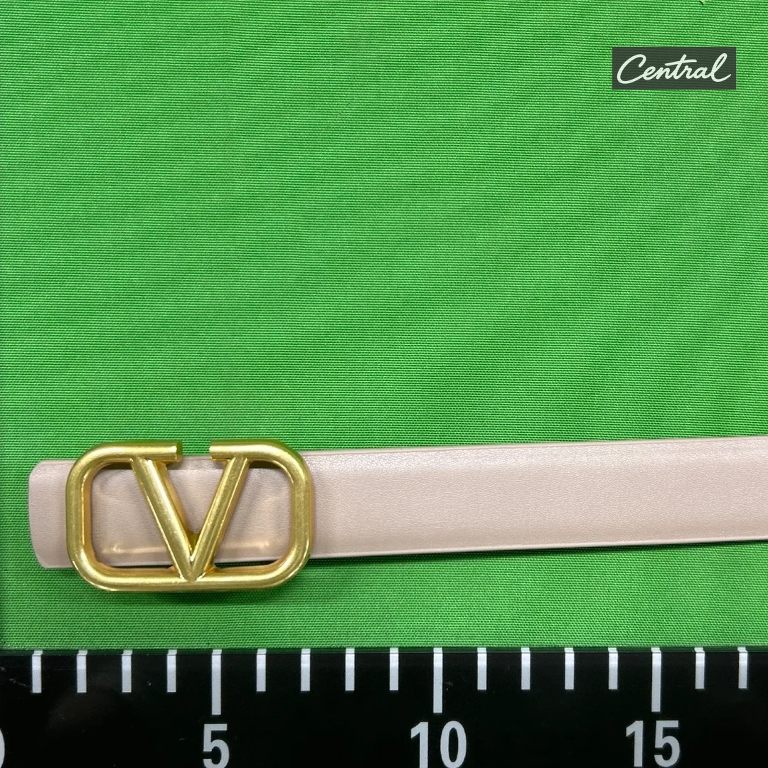 Valentino Garavani VLogo Signature Belt - Apricot Gold